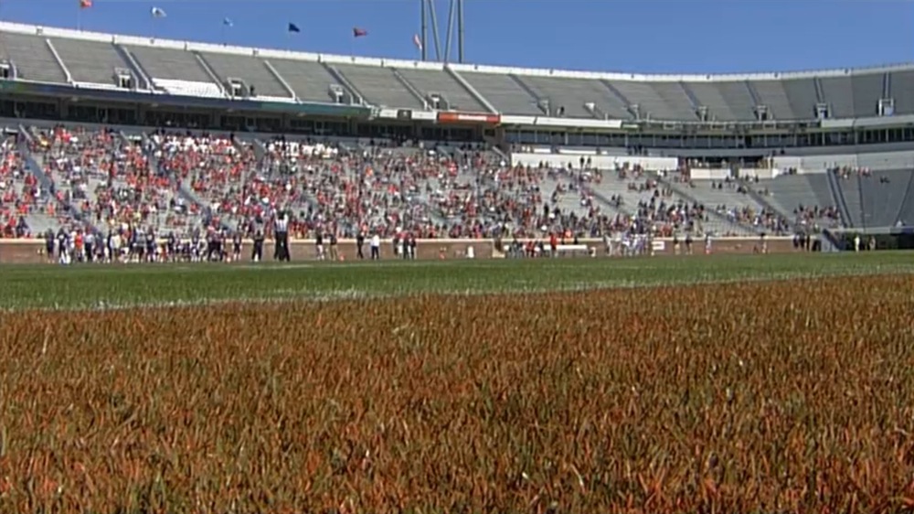 There Were This Many Fans at UVa's Spring Game The Key Play